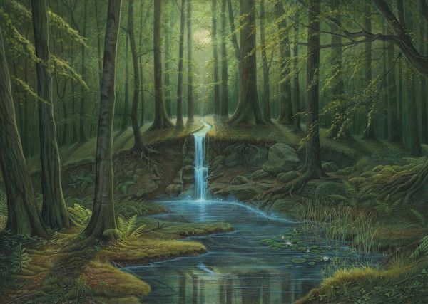 Forêt