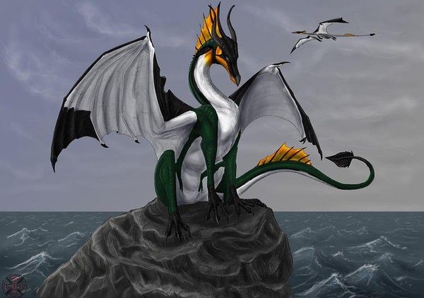dragon
